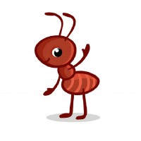 حرکت در جانوارن - این قسمت مورچه